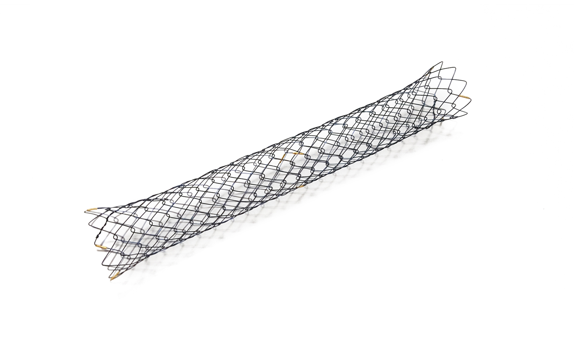 esophageal-stent2