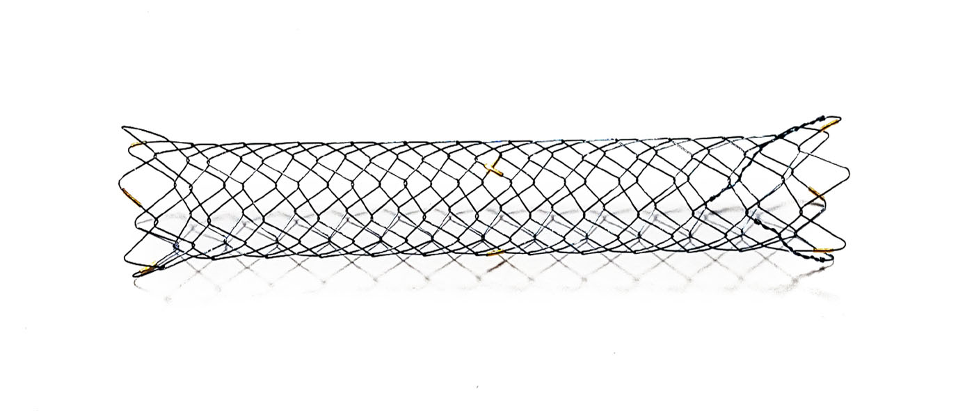 esophageal-stent2